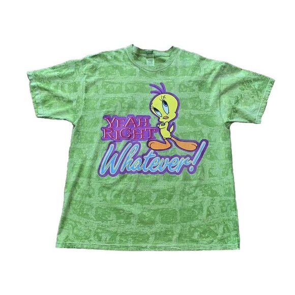 Tweety Bird Looney Tunes 90s T-shirt Acid Wash Green Men's XL Made USA - Picture 1 of 10